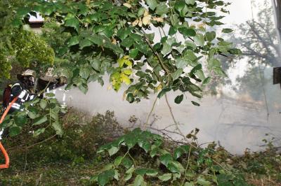 Gebueschbrand in Stuttgart, vermutlich durch eine Zigarette ausgeloest 